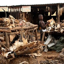 Lomé fetish market