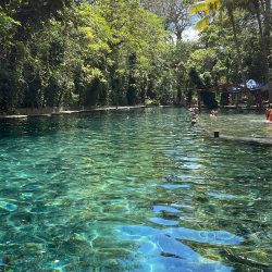 Ometepe - Ojo de agua