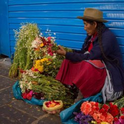 PERÚ 3